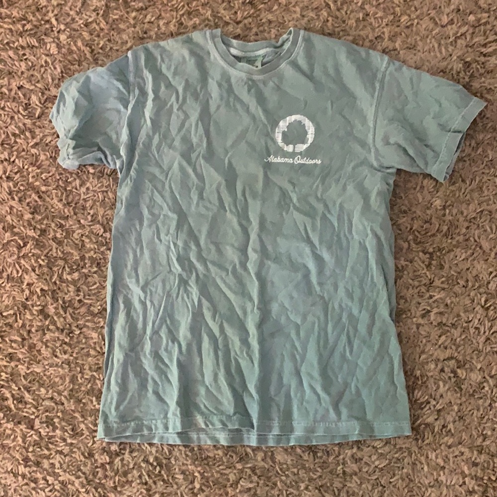 Comfort Colors Seafoam Green T-Shirt